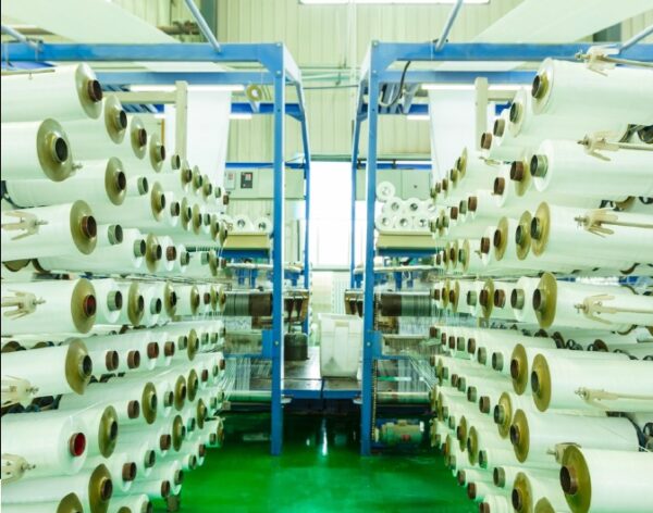 WhatsApp Image 2024-10-25 at 9.49.08 AM